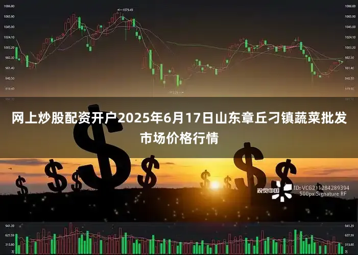 网上炒股配资开户2025年6月17日山东章丘刁镇蔬菜批发市场价格行情