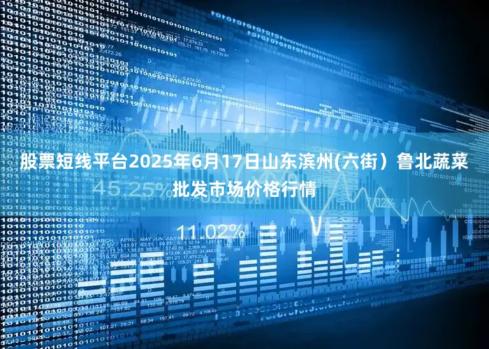 股票短线平台2025年6月17日山东滨州(六街）鲁北蔬菜批发市场价格行情