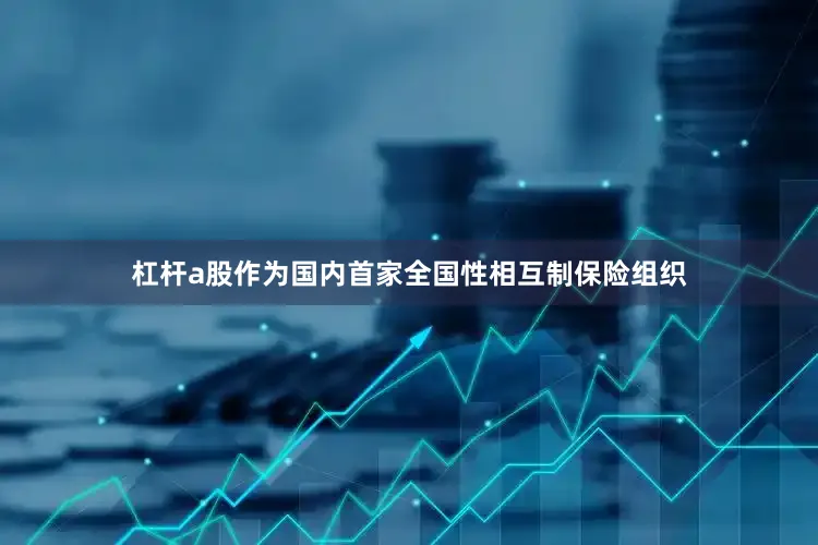 杠杆a股作为国内首家全国性相互制保险组织