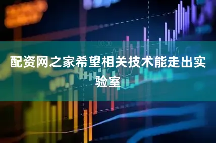 配资网之家希望相关技术能走出实验室
