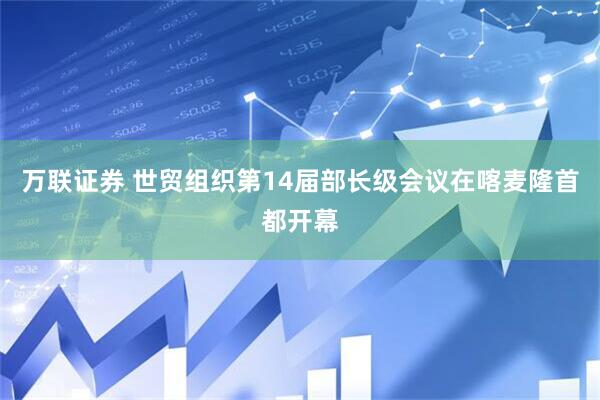 万联证券 世贸组织第14届部长级会议在喀麦隆首都开幕