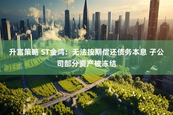 升富策略 ST金鸿：无法按期偿还债务本息 子公司部分资产被冻结